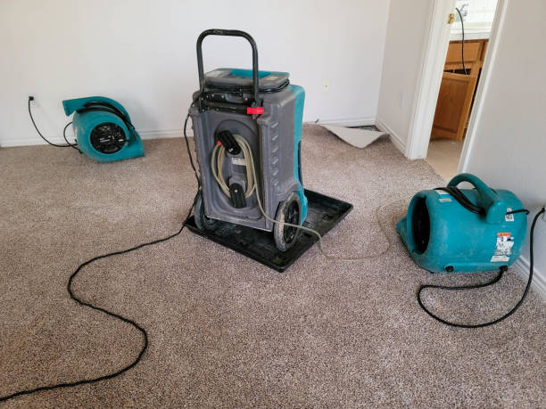 Best Water damage restoration cost  in West Falls Church, VA