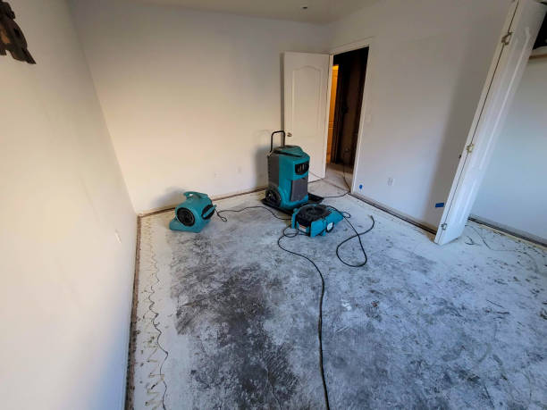 Best Mold removal after water damage  in West Falls Church, VA