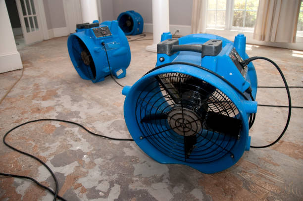 Best Water damage restoration near me  in West Falls Church, VA