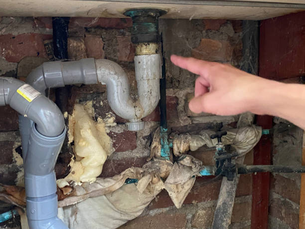 Best Water damage cleanup near me  in West Falls Church, VA